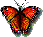 gif l&eacute;pido