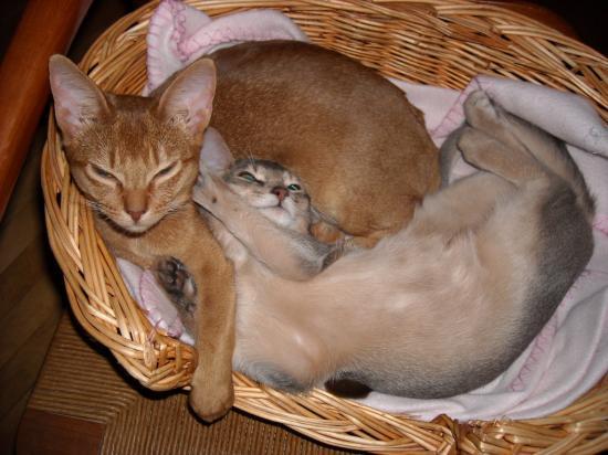 Salsa et Tango