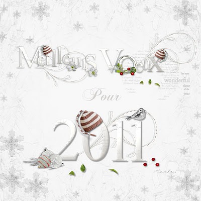 Meilleurs+voeux+2011 2011
