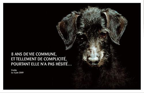 Vais je rencontrer l amour en 2014