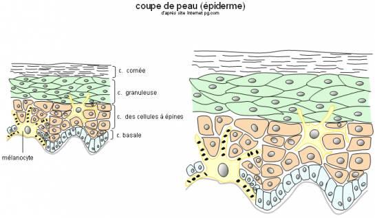 Le masque de gélatine pour la personne la peau problématique