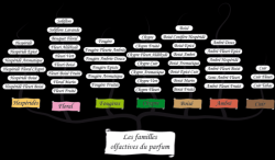 familles olfactives