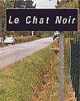 Statue chat noir du carrefour St Philibert