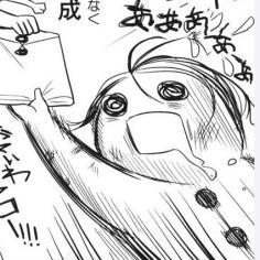 TOMOE, Sato