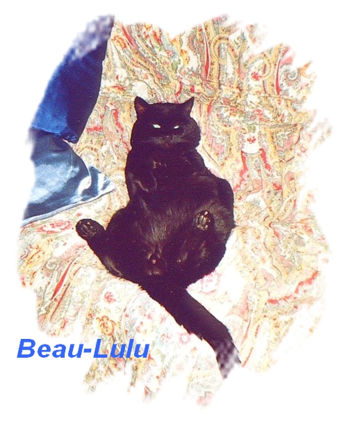 Beau-lulu