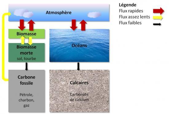 Cycle du Carbone