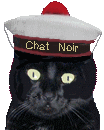 chat noir marin