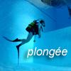 Plong&eacute;e