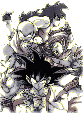 Sp&eacute;cial fan de dbz