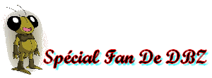 Sp&eacute;cial www.fan-de-dbz.com