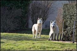 Idaho et Drakkar