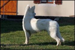 Fahro