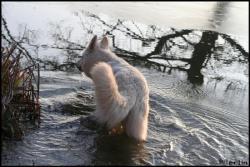Idaho encore &agrave; l'eau !