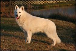 Drak qui fait le beau