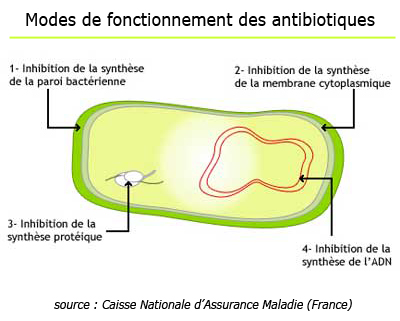 Comment correctement nettoyer la personne des boutons