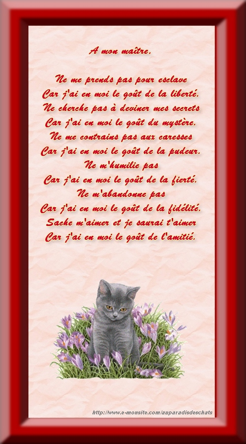 La prière du chat