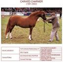 carwed charmer