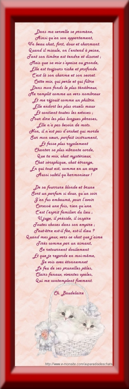 Poème Le chat de Charles Baudelaire