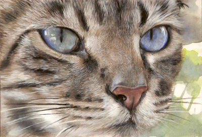 Gros plan en peinture d'un chat Gros plan en peinture d'un chat