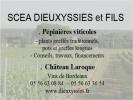 Scea Dieuxyssies & Fils