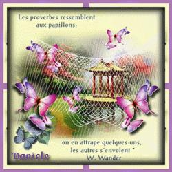 papillon_proverbe