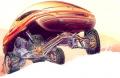 Racoon Renault