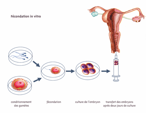 Les parasites près du bétail