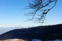 Les Alples Suisses depuis le Mt des Cerfs
