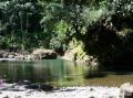Bassin