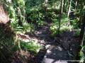 Vers le bassin Paradise, Guadeloupe