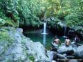 Bassin Paradise, Guadeloupe