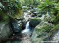 Vers le bassin Paradise, Guadeloupe