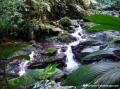 Vers le bassin Paradise, Guadeloupe