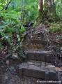 Escalier vers le bassin Paradise