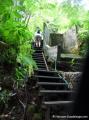 Trace retour bassin Paradise, Guadeloupe