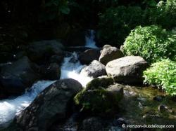 Bain des Amours sources chaudes, Guadeloupe