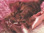 Ballerines de chaton rose