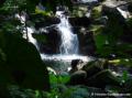 Vers le bassin Paradise, Guadeloupe