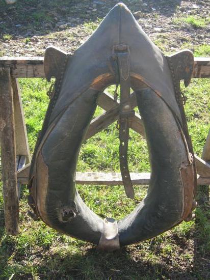 Collier de cheval Coll. AHCMP 2011