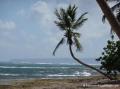 Plage de l'Autre bord, le Moule, Guadeloupe