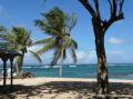 Plage de l'Autre bord, le Moule, Guadeloupe