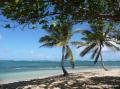 Plage de l'Autre bord, le Moule, Guadeloupe