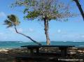 Plage de l'Autre bord, le Moule, Guadeloupe