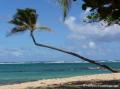 Plage de l'Autre bord, le Moule, Guadeloupe