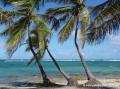 Plage de l'Autre bord, le Moule, Guadeloupe