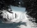 Un chemin au bord d’un champ dans la neige