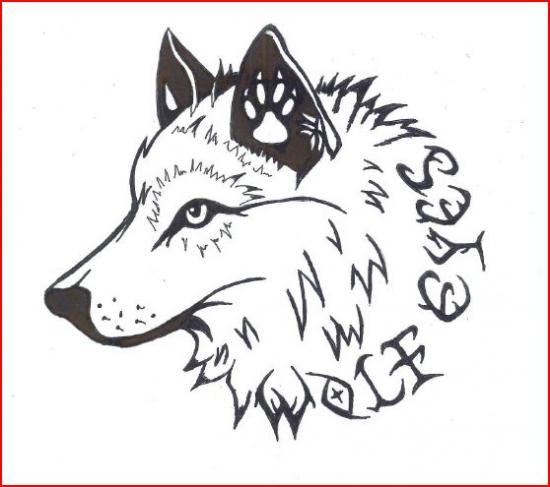 rencontres personnes aimant les animaux