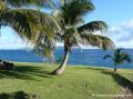 Parc, Vieux-Fort, Guadeloupe