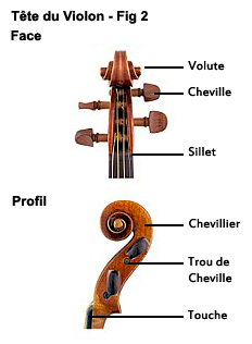 Presentation Du Violon Description Du Violon Definition Du Violon