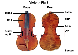 Presentation Du Violon Description Du Violon Definition Du Violon